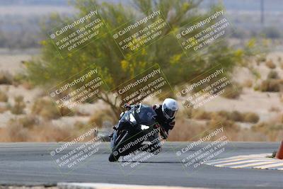 media/Apr-10-2022-SoCal Trackdays (Sun) [[f104b12566]]/Turn 5 Tree of Life (1040am)/